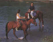 Horse riding by some lovely greek river-bank