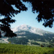 Springtime... Mount Velouchi is reviving again!